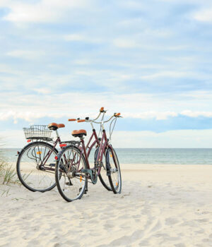 Buying a Beach Bike