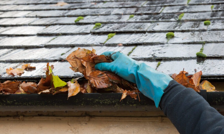 FLAGLER FL, How to Clean Gutters