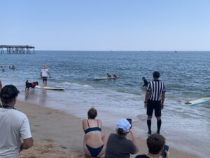 flagler fl, Flagler Beach dog surfing contest