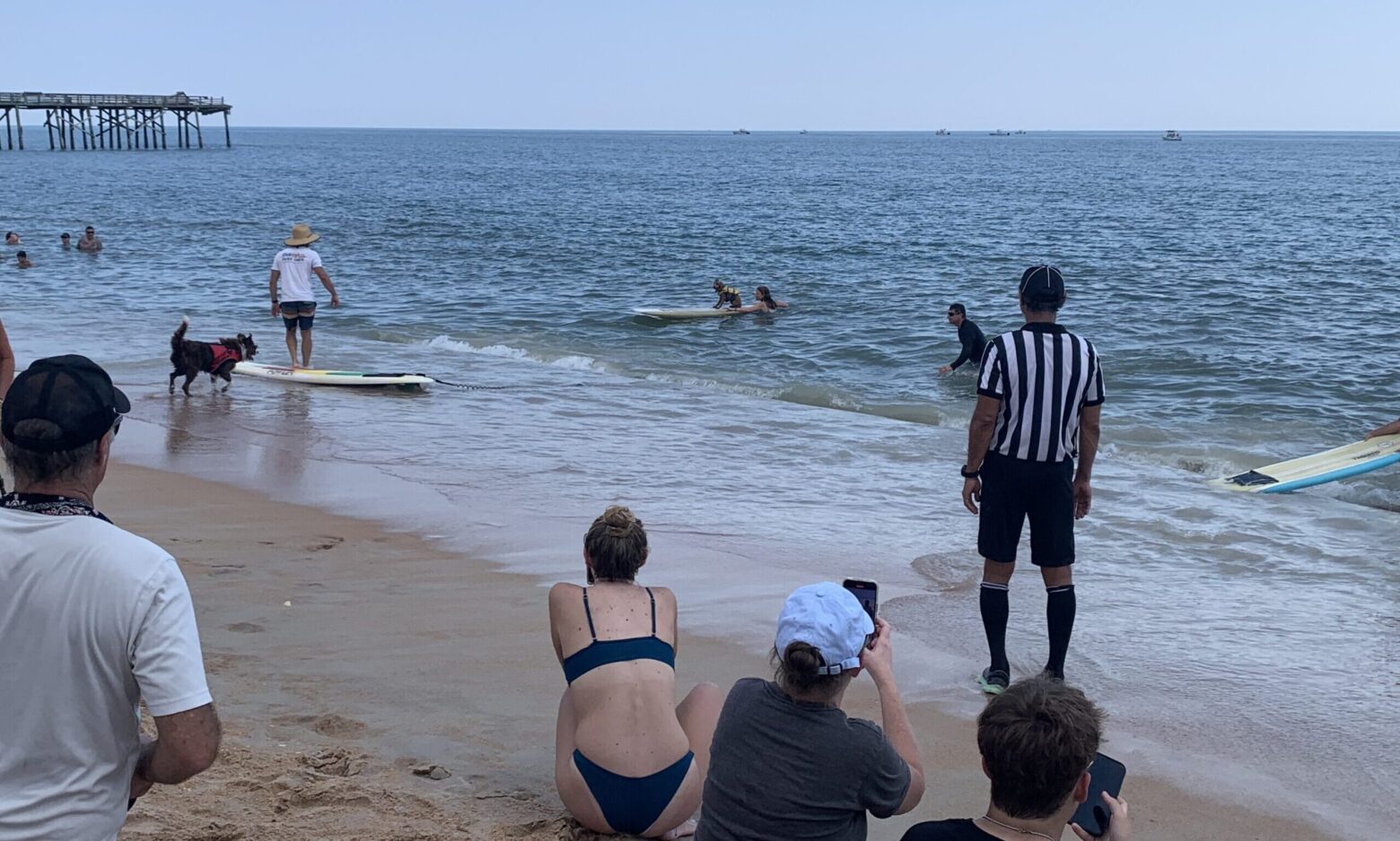flagler fl, Flagler Beach dog surfing contest 2024