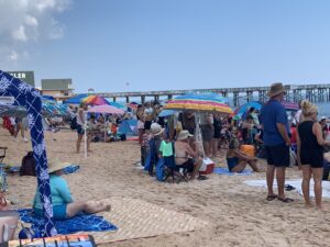 flagler fl, Flagler Beach dog surfing contest