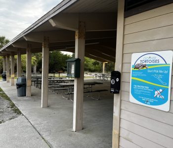 flagler fl, picnic area