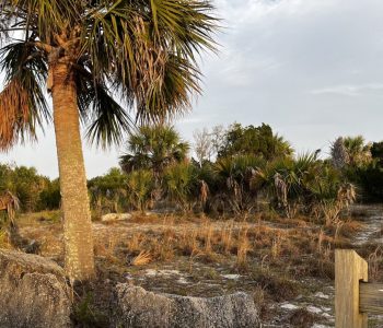 flagler fl, Betty steflik park