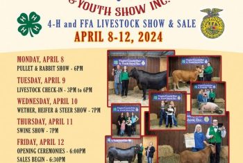 flagler fl, 4H Livestock Show